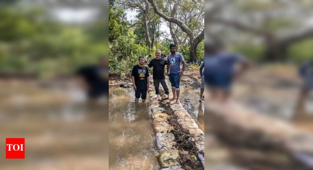 बोरी बंड प्रकल्प शेतक for ्यांसाठी ऑफ-सीझन वरदान ठरतो