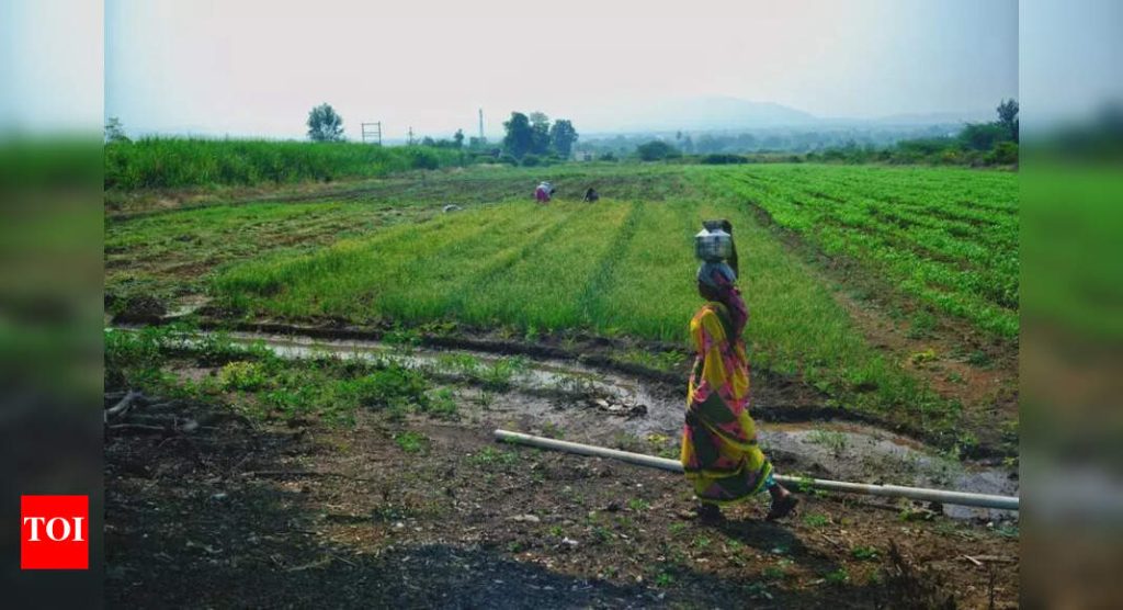 पुरंदर विमानतळ जमीन मोजमाप सर्वेक्षण 16 ऑक्टोबरपर्यंत निष्कर्ष काढण्यासाठी, भरपाई वितरण सुरू होईल.